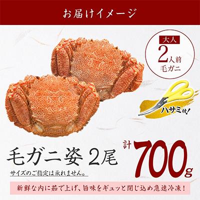 ふるさと納税 弟子屈町 毛蟹 姿 2尾 計700g前後 ボイル 食べ方ガイド・専用ハサミ付 北海道 弟子屈町 2458 |  | 03