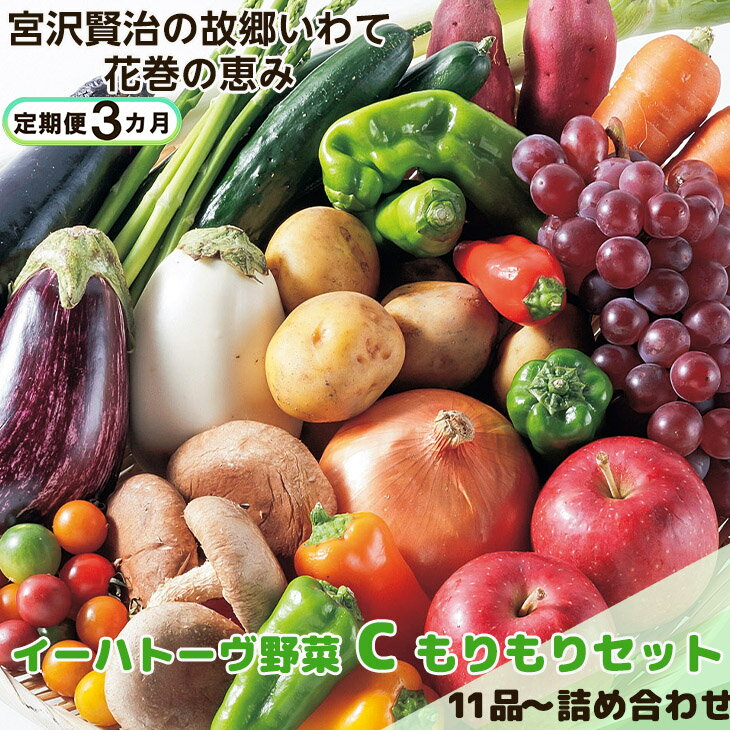 【ふるさと納税】《定期便3ヶ月》 イーハトーヴ野菜C もりもりセット 11品～ ふるさと納税 野菜 定期便 お楽しみ 旬 冷蔵