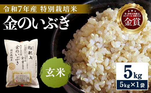 
                  令和7年産米 冷めても美味しい玄米 特別栽培米 金のいぶき 5kg 玄米 米 農家直送 受賞歴多数 ＼自然由来の漢方栽培／ ふるさと 人気 ランキング【渡部 浩見】[H2-21002]
                