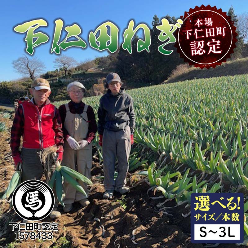 【ふるさと納税】本場下仁田町認定 葱の会会員がつくった下仁田ねぎ 選べるサイズ S・M・L・LL・3L、本数 とろける 甘い ねぎ ネギ 王様ねぎ 殿様ねぎ 特産 栄養たっぷり ブランド 上州ねぎ すきやき 野菜 F21K-611var