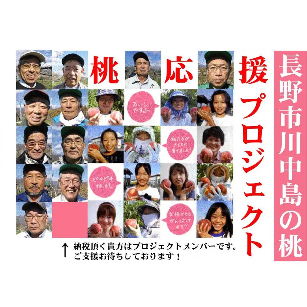 【※2027年7月以降発送分　先行受付】桃 6kg(長野市川中島の桃農家を応援プロジェクト) | 桃　もも