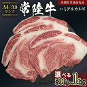 【ふるさと納税】【 常陸牛 】 ハミデルカルビ 300g ～ 1kg （茨城県共通返礼品） カルビ 黒毛和牛 国産黒毛和牛 和牛 国産 牛肉 牛 お肉 肉 ひたち牛 冷凍