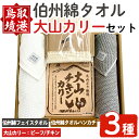 【ふるさと納税】伯州綿タオル＆大山カリーセット！フェイスタオル ハンカチ カレー ビーフ チキン 牛肉 鶏肉【sm-BP012】【フジキコーポレーション】