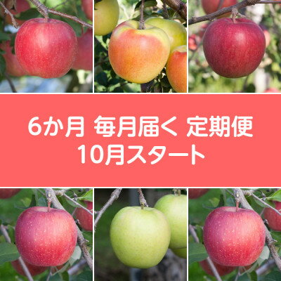 【ふるさと納税】【発送月固定定期便】〈2026年10月より順次発送〉甘味系・青森県産りんご約3kg 全6回【配送不可地域：離島・沖縄県】【4051700】