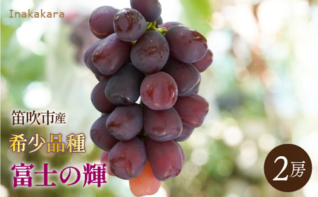 【2026年発送★先行予約】　Inakakara 希少品種「富士の輝」2房(約1.1kg~1.3kg) 192-025