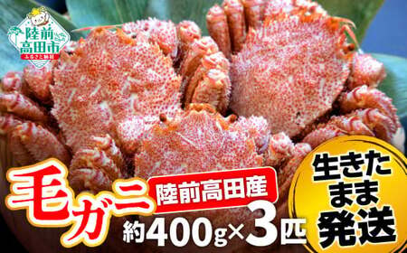 ＜濃厚＞三陸産活毛ガニ約400g×3匹 かに 蟹 毛ガニ 新鮮