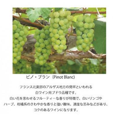ふるさと納税 高畠町 高畠ワイナリーのバリック ピノブラン 750ml 1本 白ワイン |  | 01