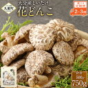 【ふるさと納税】【2～3ヶ月定期便】大分産 しいたけ 花どんこ 250g 椎茸 きのこ キノコ 茸 選べる 定期便 2～3回 国産 九州産 大分県産 送料無料