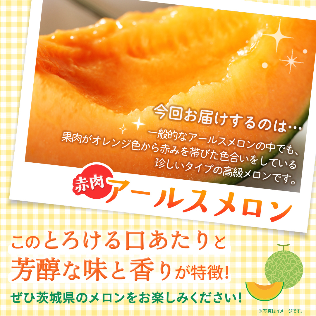赤肉アールスメロン 3玉 赤肉 高糖度 甘い 美味しい フルー
