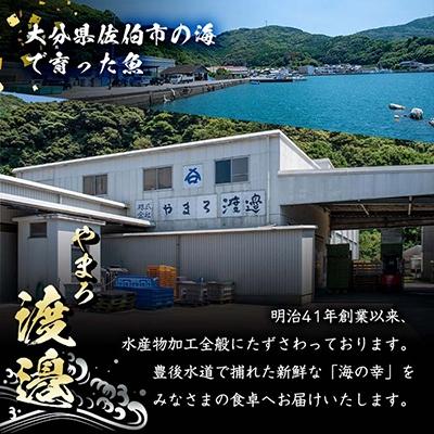 ふるさと納税 佐伯市 中骨なし開き3種詰め合わせ (16尾・3種) |  | 02