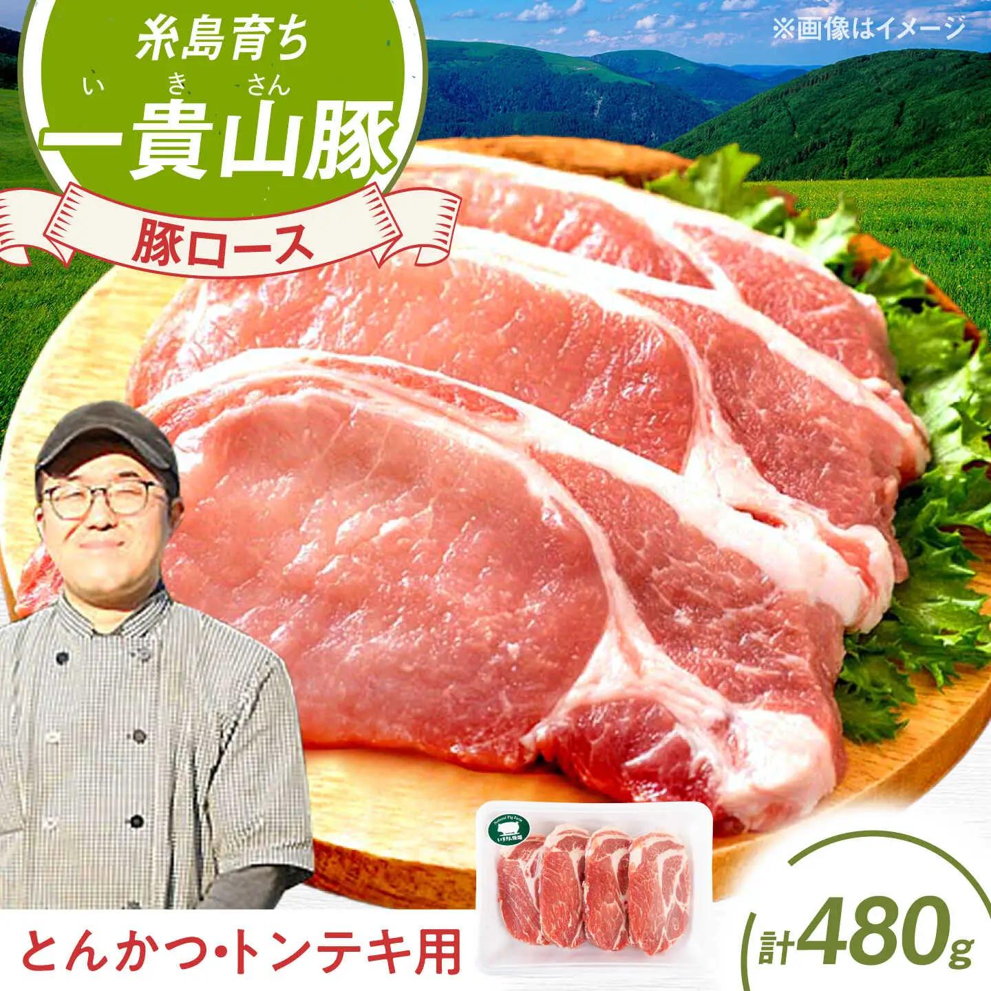 一貴山豚 ロースとんかつ・トンテキ用 計480g(120g×4枚) 糸島市 / いきさん牧場 豚肉 冷凍 [AGB030]