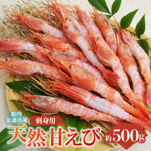 兵庫県産 天然 甘エビ 刺身用 計500g 250g×2パック（1パック15尾入り）海老 えび 10-12