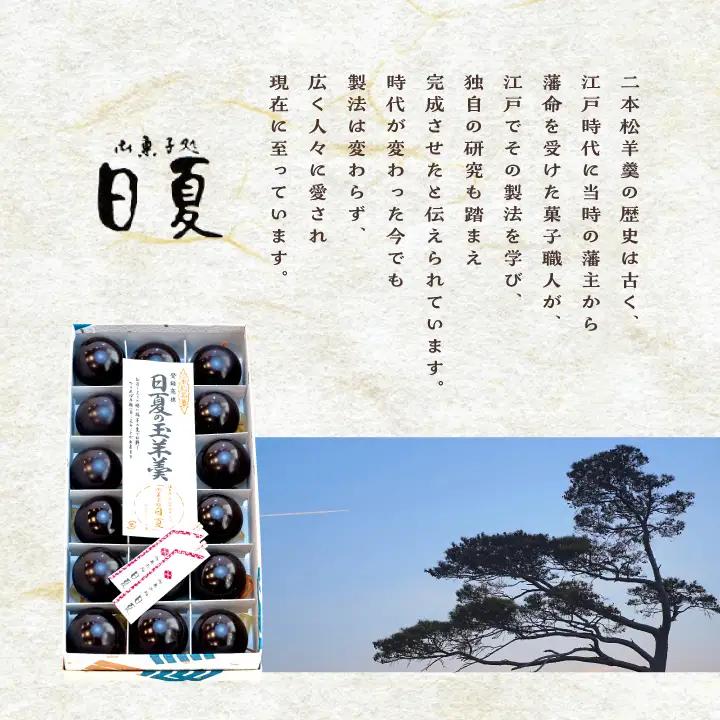羊羹 日夏の玉羊羹 羊羹 和菓子【株式会社菓子処日夏】