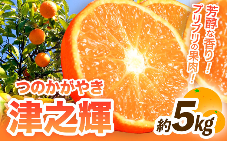 【先行予約】津之輝(つのかがやき) 約5kg 株式会社魚鶴商店《2026年2月上旬～3月中旬頃出荷予定》 和歌山県 日高町 柑橘 フルーツ---wsh_uot98_2j3c_25_16000_5kg---