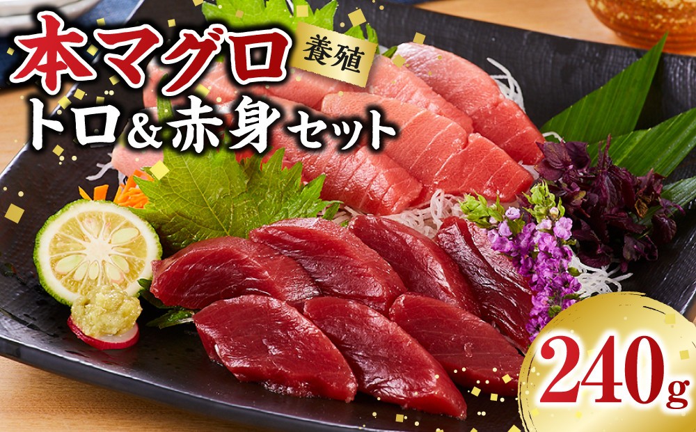 
                  本マグロ（養殖）トロ＆赤身セット　240g［KS11］｜国産 本まぐろマグロ 鮪 刺身 海鮮丼 マグロ お刺身 まぐろ丼 お寿司 手巻き寿司 トロ 人気マグロ おすすめマグロ ギフト 贈答 まぐろ マグロ刺身 冷凍マグロ 本マグロ まぐろ刺身 紀州勝浦まぐろ 海鮮 魚介類 マグロ 魚 さかな高評価 まぐろ 
                