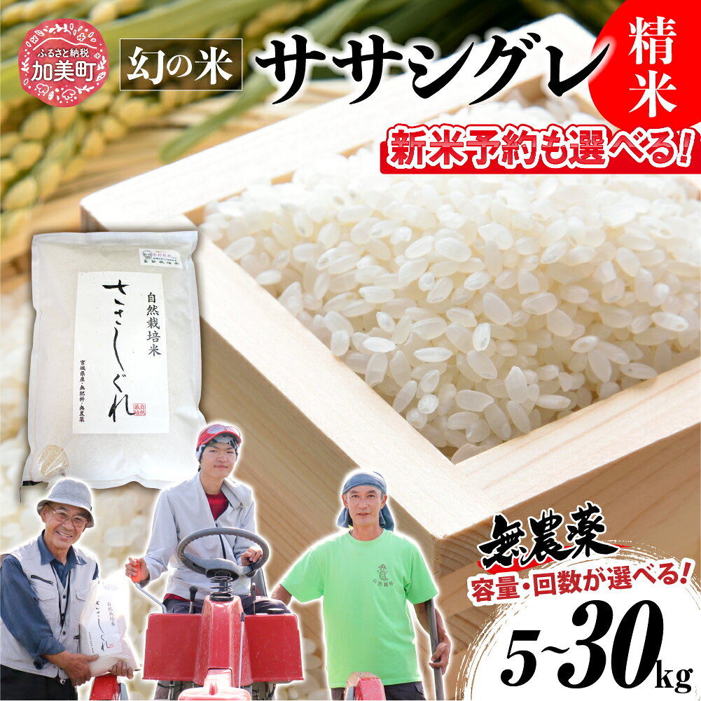 【ふるさと納税】 《新米予約も選べる》 令和7年 令和8年 米 定期便 精米 希少 品種 米 宮城県産 ササシグレ 無農薬 栽培期間中 農薬 肥 不使用 精米 5kg 10kg 単品 3ヶ月 定期便 [ 宮城県 加美町 ] 米 お米 こめ コメ 精米 白米 玄米 ササニシキ