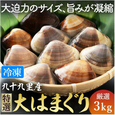 【ふるさと納税】 はまぐり 3kg 大サイズ 九十九里 九十九里産 瞬間冷凍 蛤 ハマグリ 天然 漁師直送 鮮度 砂抜き 味噌汁 酒蒸し グラタン だし ダシ 出汁 クラムチャウダー 炊き込みご飯 旨味 贅沢 厳選 ギフト プレゼント 贈答 不動丸 千葉県 旭市