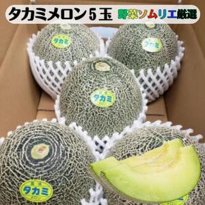 先行予約 道の駅の野菜ソムリエ厳選 タカミメロン 5玉 箱詰め メロン フルーツ 果物 お取り寄せ 渥美半島 産地直送 田原市 送料無料 16000円　めっくんはうす