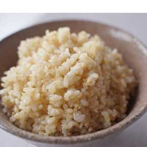 有機こしひかり【玄米】500g×6袋(令和7年産)【1709186】