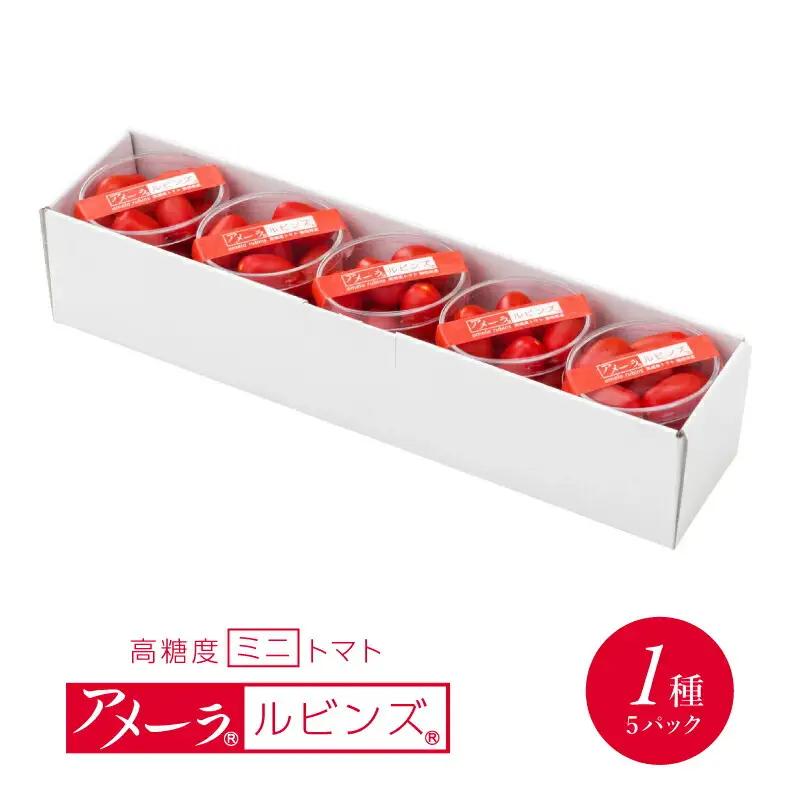 アメーラ ミニトマト アメーラルビンズ 5パックセット トマト
