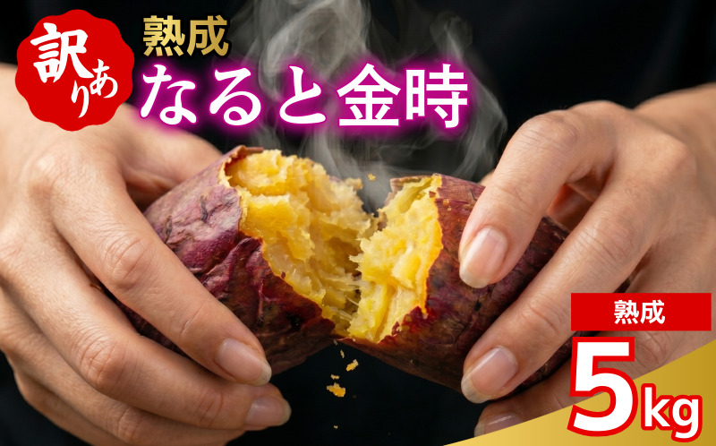 訳あり なると金時 5kg 熟成 さつまいも 鳴門金時 いも 芋 焼き芋 干し芋 スイーツ 貯蔵庫 熟成いも 国産 お土産 徳島 鳴門
