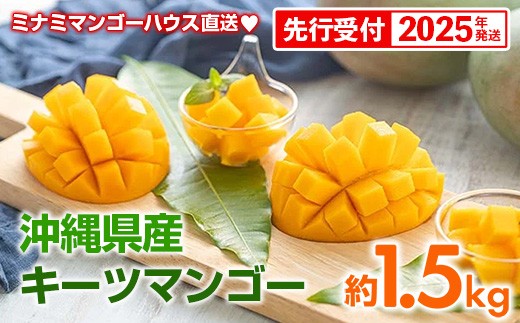 
            【先行予約】【2025年発送】ミナミマンゴーハウスのキーツマンゴー約1.5kg - 産地直送 沖縄産 国産 果物 フルーツ 南国フルーツ トロピカルフルーツ 旬の味覚 人気 おすすめ 送料無料 沖縄県 八重瀬町
          