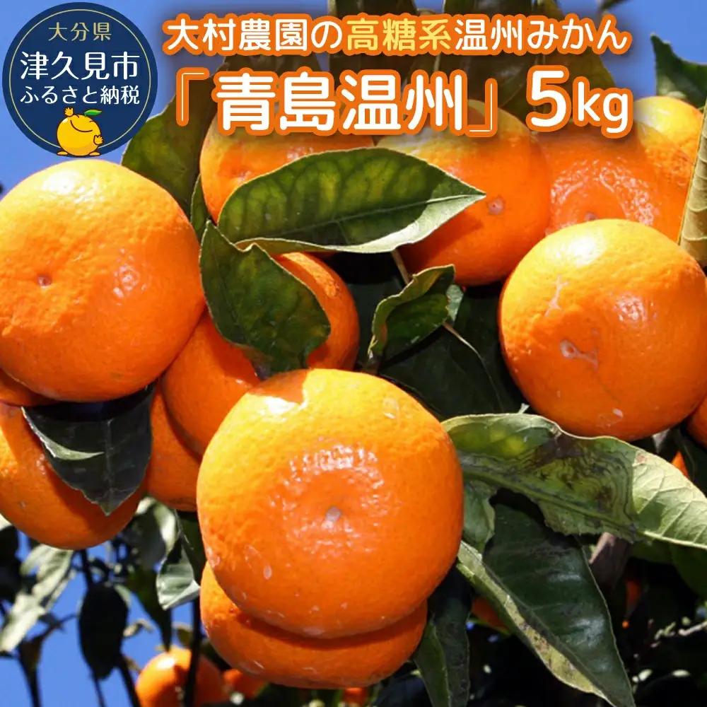【先行予約】大村農園 温州みかん 5kg | みかん 津久見市
