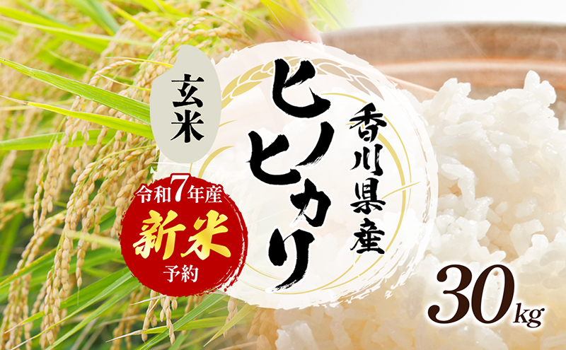 
                  [№4631-2723]「食卓応援品」令和7年産「ヒノヒカリ」30kg（玄米） お米 30kg
                