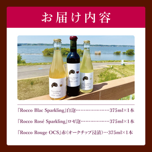 3種の2024ものハーフボトルセット～行方市内の自社畑ぶどう（2024年収穫）で醸造したワイン～｜ワイン  ボトルワイン 酒 お酒 酒類 赤ワイン スパークリングワイン ボトル ぶどう セット ワイン