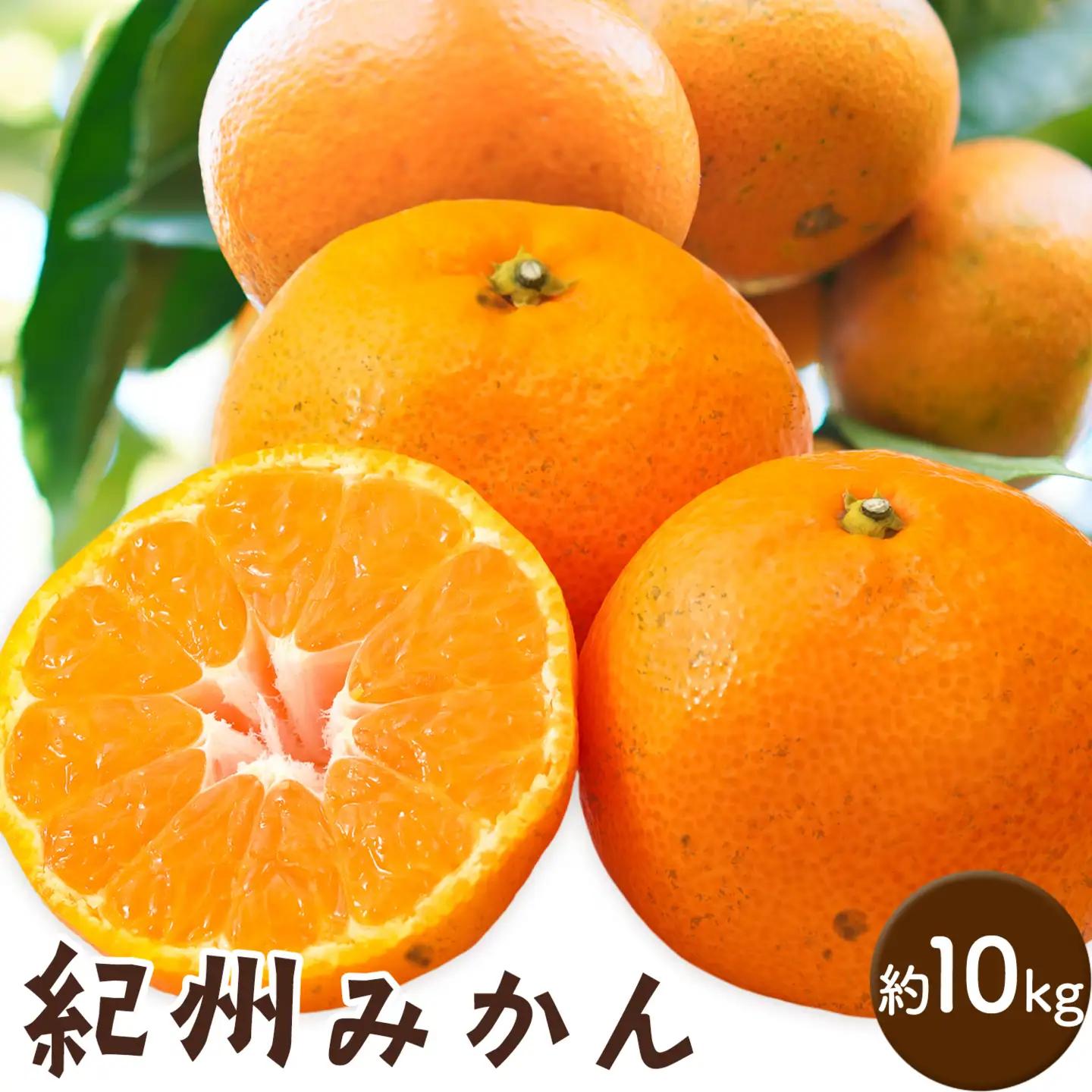 紀州みかん 約10kg ときわオンライン《10月中旬-2027年1月下旬頃出荷》和歌山県 紀の川市 フルーツ 果物 柑橘 みかん
