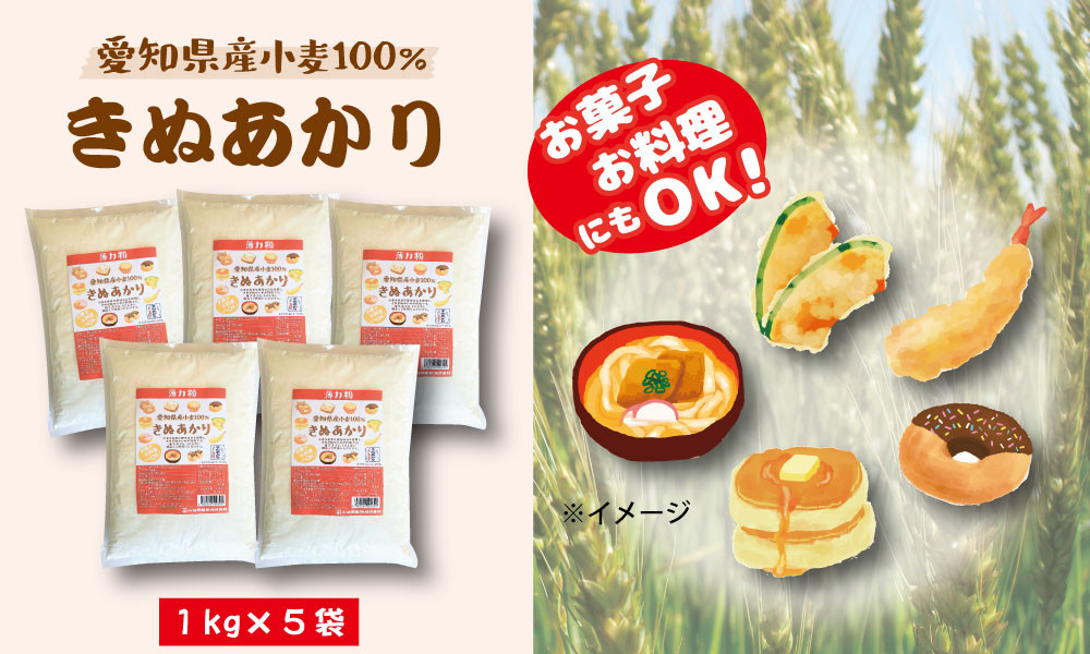 
【小麦粉】愛知県産 きぬあかり 国産 薄力粉 1kg×5袋(計5kg) 麺づくり お菓子用 お料理 手打ちうどん きしめん 天ぷら ドーナツ アメリカンドッグ 保存に便利 チャック付き H008-224
