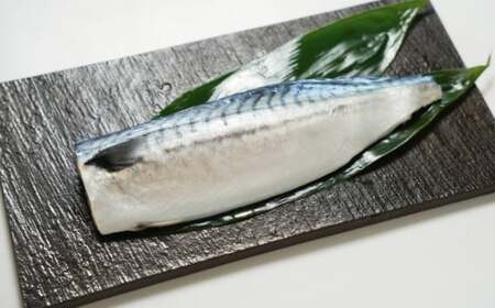 適塩さば 昆布エキス入り 約5kg さば 鯖 適塩 適塩サバ 適塩鯖 さばフィーレ 鯖フィーレ さばフィレ 鯖フィレ 切り身 切身 昆布エキス 食べやすい 小分け 個別冷凍 お弁当 惣菜 おかず 料理