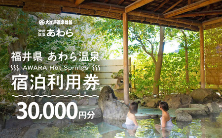 あわら温泉 宿泊利用券 30,000円分 ／ 宿泊券 利用券 旅館 ホテル チケット ペア 観光 旅行 源泉 大浴場 露天風呂 [aw013-j012]