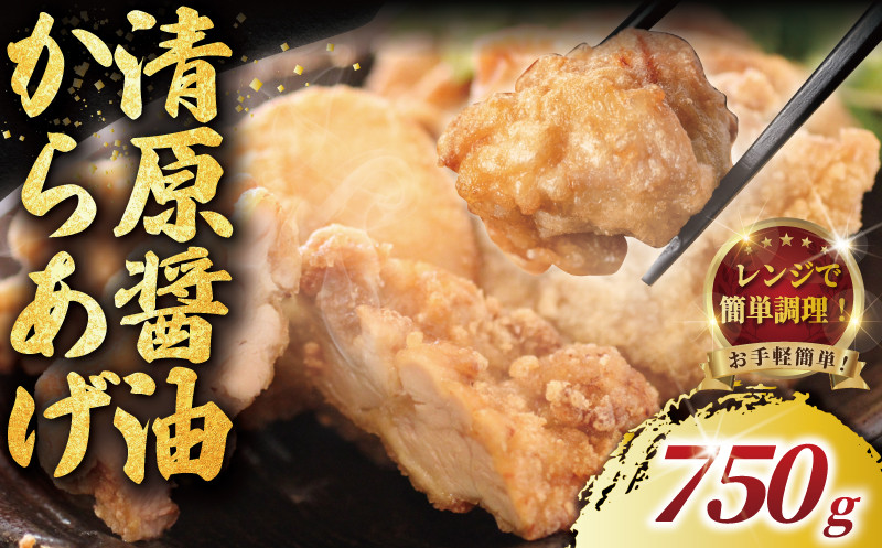 
            訳あり 唐揚げ 750g ( 50g × 15個 )  モモ肉 清原 醤油 から揚げ レンジ 簡単調理 冷凍 鶏唐揚げ 鶏の唐揚げ 鶏のから揚げ からあげ カラアゲ karaage 揚げ物 ザンギ 竜田揚げ 鶏肉 とりにく モモ  冷凍食品 おつまみ おかず オーブン 加納食堂 神奈川 湘南 藤沢
          