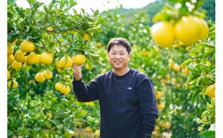 【日本ギフト大賞2024受賞】園主こだわりミニチュア土佐文旦ぶんたん 5kg 15~20玉〈2027年1月中旬から4月下旬発送〉高知県 土佐市【やの一果彩】[BQAC026]