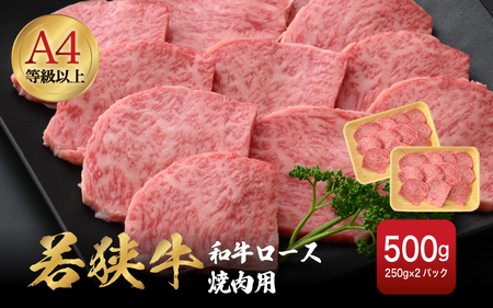 若狭牛 和牛ロース焼肉用 計500g （250g ×2パック）福井県産 ロースA4等級 以上を厳選！【牛肉 黒毛和牛 黒毛 和牛 冷凍 小分け バーべキュー グルメ】 [e02-c011]