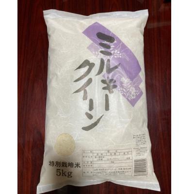 ふるさと納税 南陽市 【令和7年産】山形県産　特別栽培米　ミルキークイーン5kg(精米)【S1549】