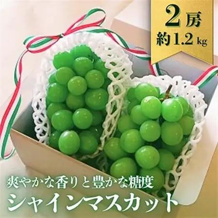 【2026年8月より発送】先行予約　群馬県産シャインマスカット2房　約1.2kg【配送不可地域：離島・沖縄県】【1705994】