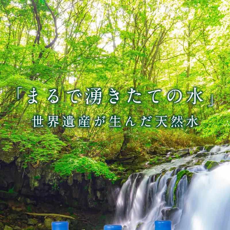 【12ヶ月定期便】富士忍野Mt.FujiSprings 8L×3本 ウォーターサーバーレンタル無料
