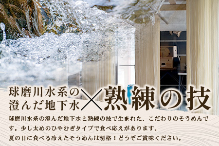 那須の おいしい そうめん 2人前×2袋 （ 計4食 ）そうめん 素麺 多良木町そうめん そうめん 素麺 ソーメン 夏 さっぱり 076-0483