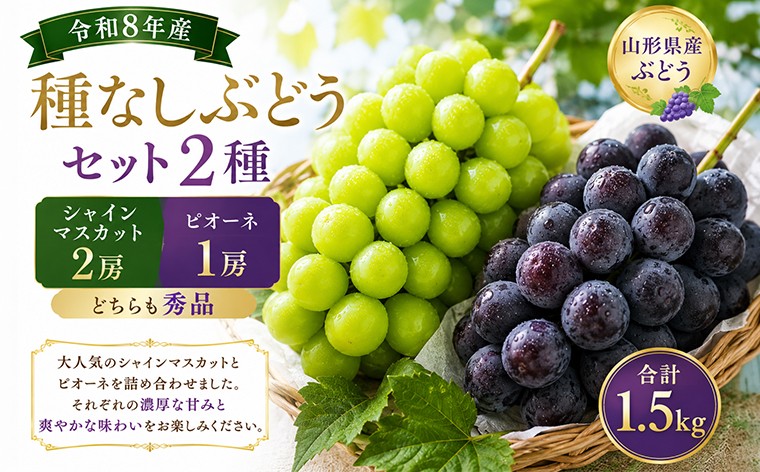 
                  山形産 種なしぶどうセット2種 (シャインマスカット2房とピオーネ1房)秀品 合計1.5kg FY26-173
                
