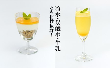【爽やかな酸味と甘み】 梅ジュレ セット [UAZ001] 梅 うめ ウメ ジュレ 梅ジュレ小分け 南高梅 梅料理 国産梅 佐賀の梅 武雄の梅