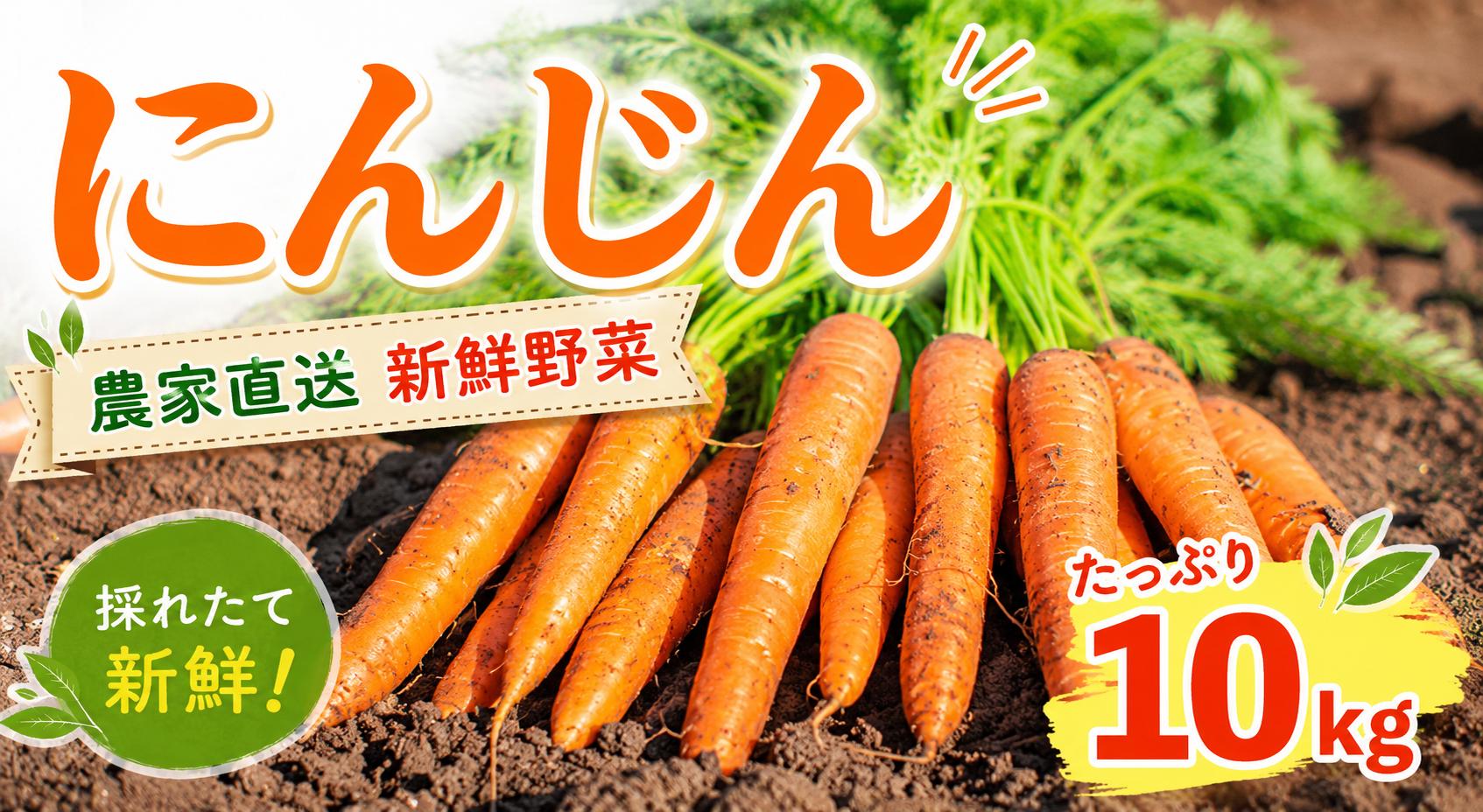 
                  【先行予約】にんじん 約10kg 人参 キャロット carrot 野菜 根菜 緑黄色野菜 やさい ヤサイ サラダ カレー 惣菜 ごはん 食卓 ヘルシー 新鮮 採れたて 産地直送 送料無料 国産 千葉県産 ふるさと納税 千葉県 千葉 旭市  smd004
                