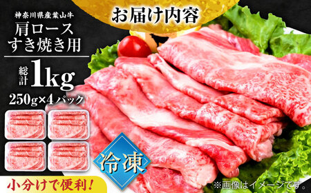 葉山牛肩ロースすき焼き用 250g×4パック 計1kg すきやき 牛肉 冷凍 肩ロース ろーす  横須賀 すき焼き すきやき 和牛 横須賀  横須賀 すき焼き すきやき すき焼き 【株式会社羽根】 [