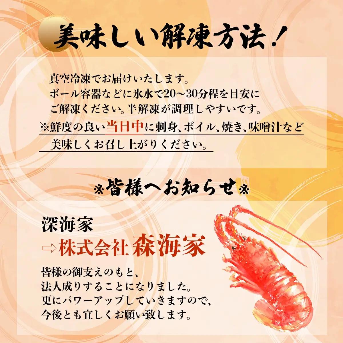 超BIG伊勢海老＜1匹＞【冷凍】 S201 【株式会社森海家】