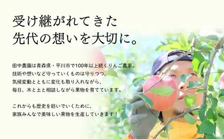 【レビューキャンペーン】≪12月発送 ≫100年の歴史 訳あり 家庭用サンふじ 約2kg 青森県平川市産[hi-0039-014]