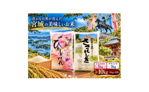 宮城県産ひとめぼれ5kg　ササニシキ5kg　計10kg【精米】【1786118】
