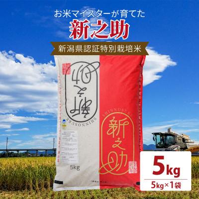 ふるさと納税 上越市 令和7年産お米マイスターが育てた新潟県認証特別栽培米「新之助」上越頸城産 5kg(5kg×1)精米