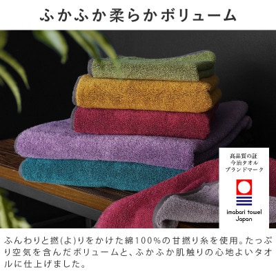 (今治タオル)日本の伝統色　フェイスタオル2枚セット＜錆桔梗×千草鼠＞【IB05260FT2PU】
