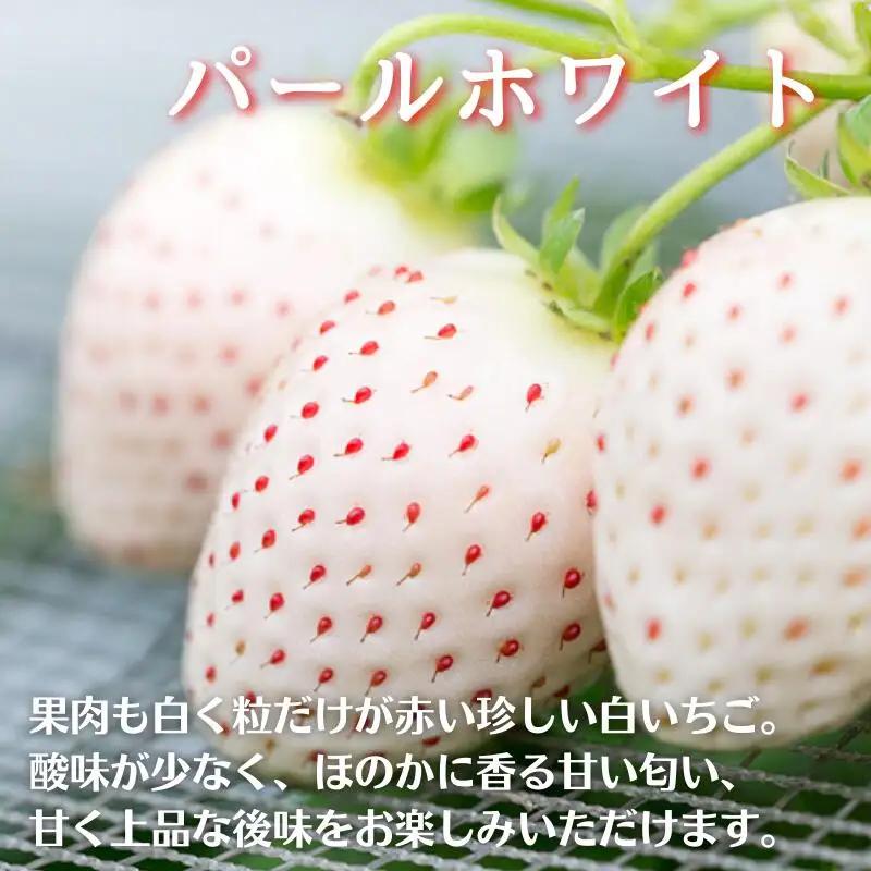 数量限定！先行受付！佐賀県産いちご さがほのか＆パールホワイト 紅白セット【2027年1～4月発送】：B140-008